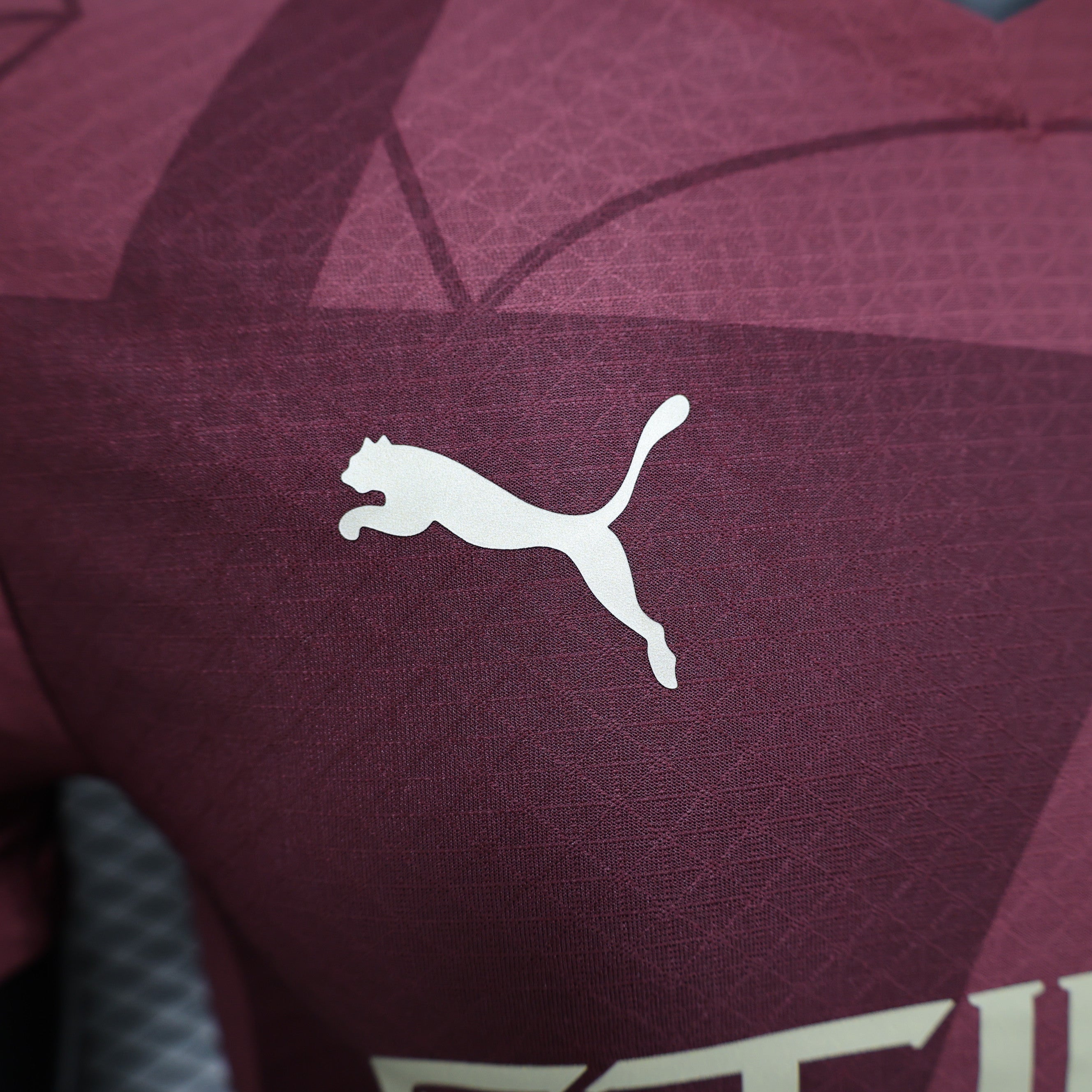 MANCHESTER CITY THIRD JERSEY 2024/2025