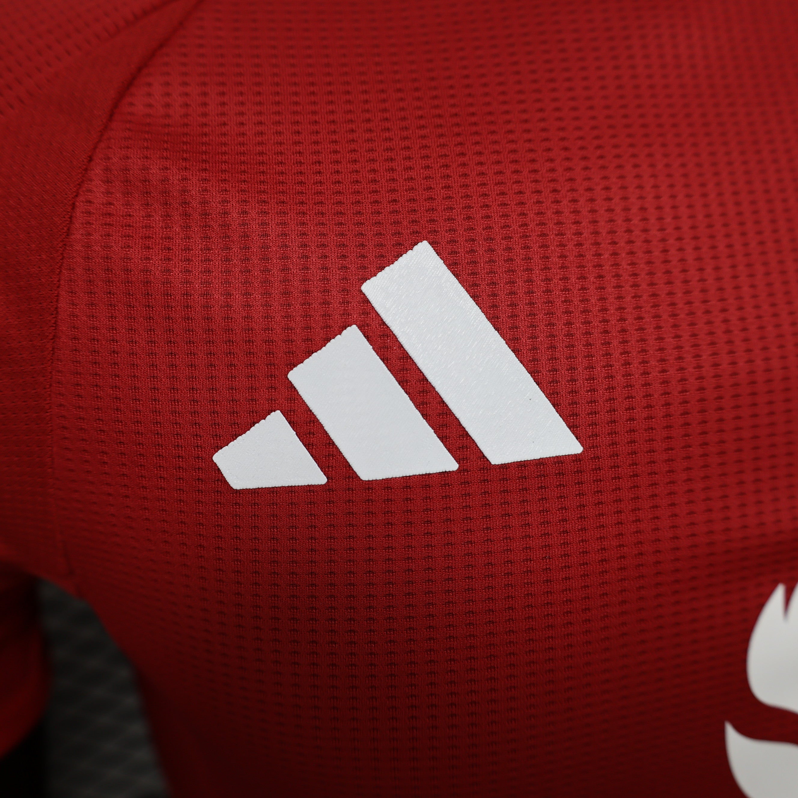 MANCHESTER UNITED HOME JERSEY 2024/2025